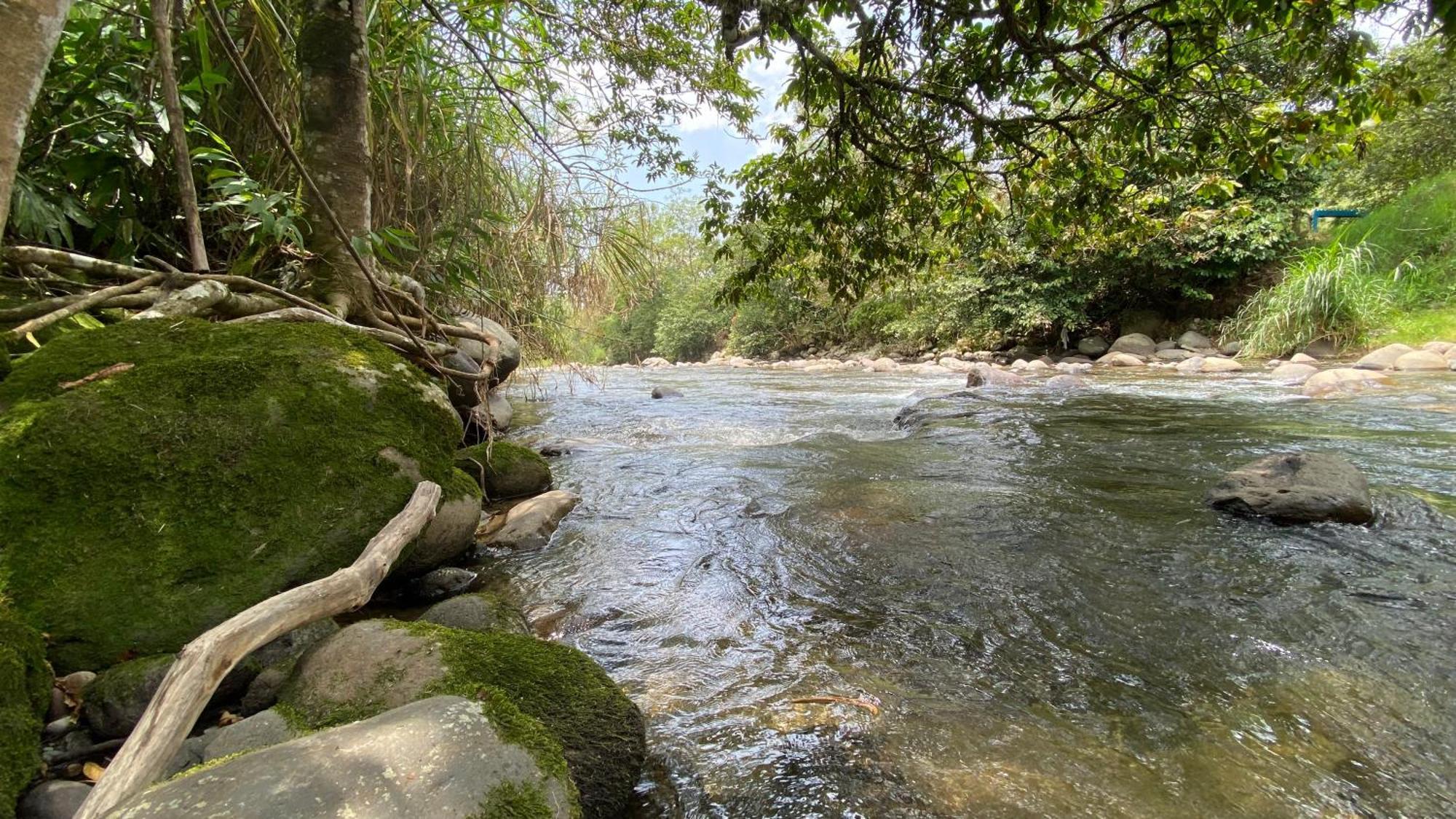 Penzion Brisas Del Rio Salento Exteriér fotografie